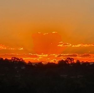 Meet your Posher, Federica